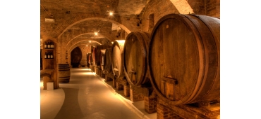 Il Testo unico del Vino 